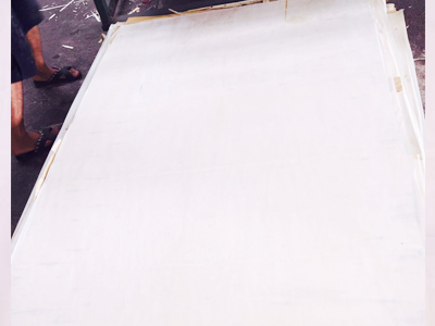 包装箱专用漂白杨木8厘